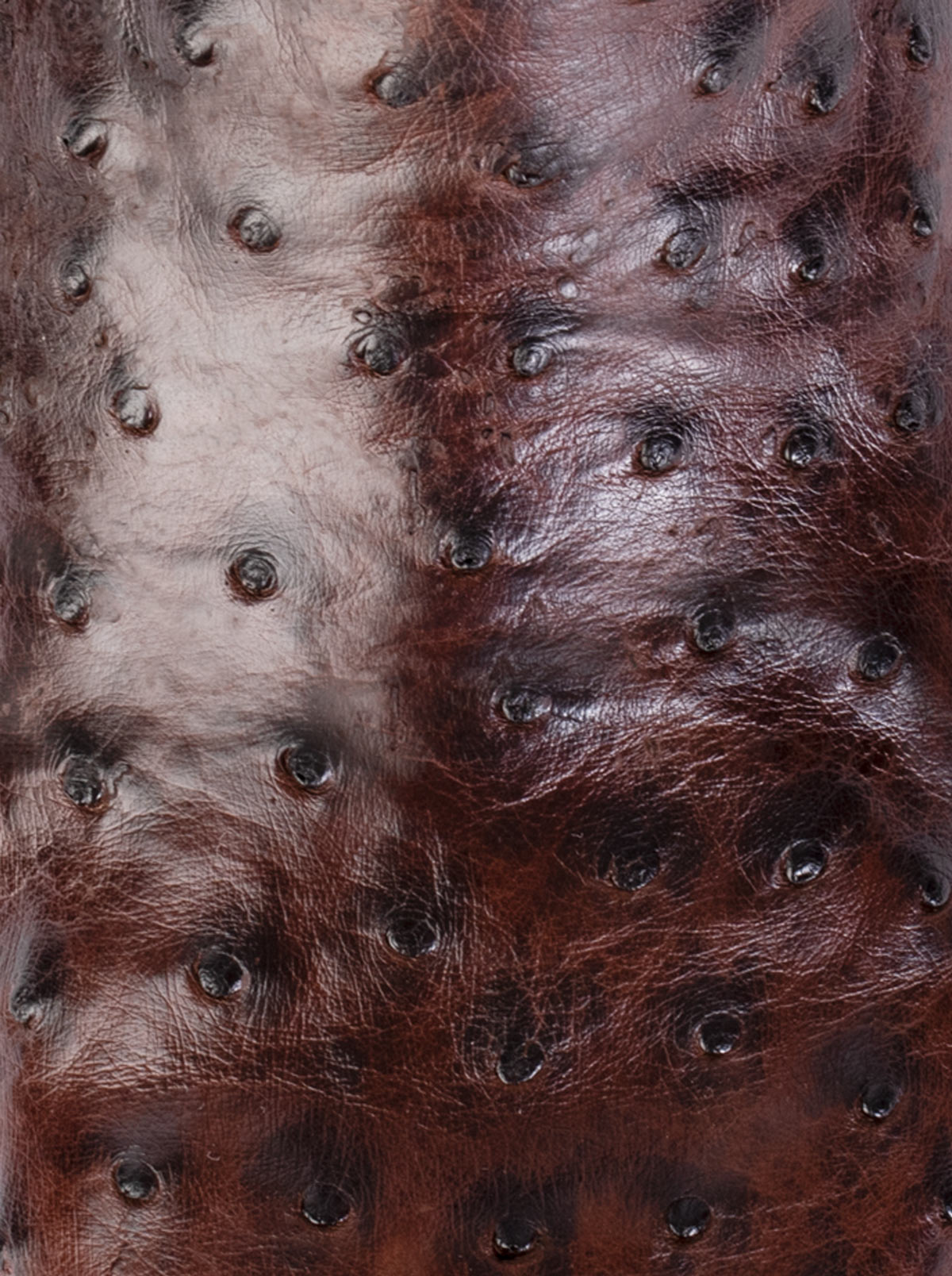 Bota Vaquera con Suela de Cuero en Piel Genuina de Avestruz Bruchatto Estilo 1056