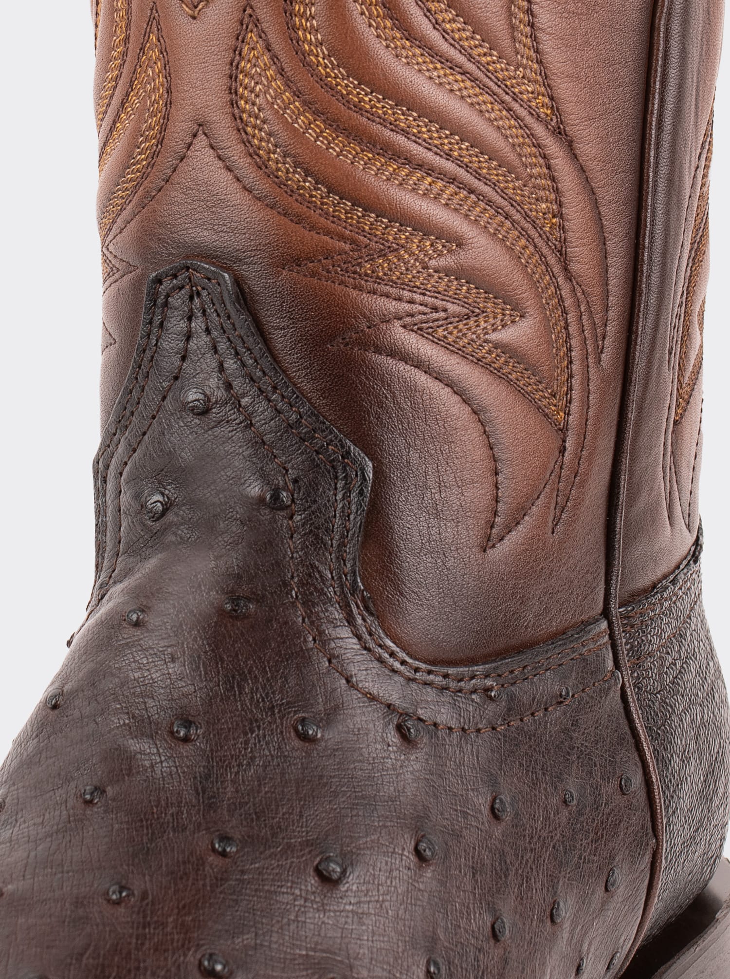 Rodeo Boot with Leather Sole in Genuine Ostrich Leather, Chocolate Color, Style 1558