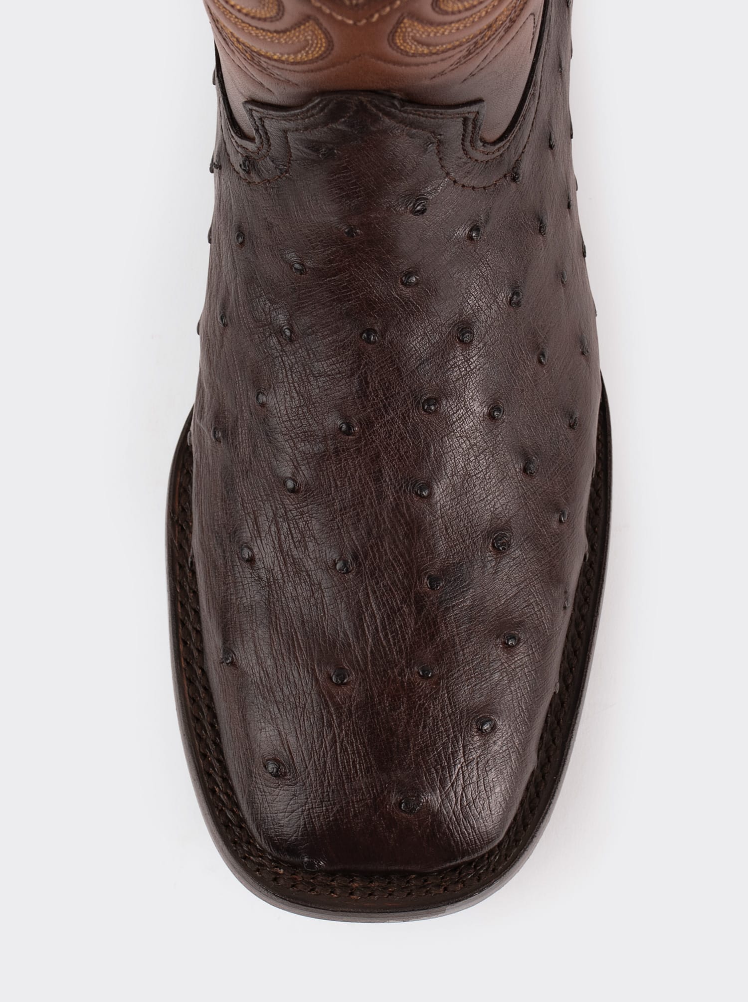 Rodeo Boot with Leather Sole in Genuine Ostrich Leather, Chocolate Color, Style 1558