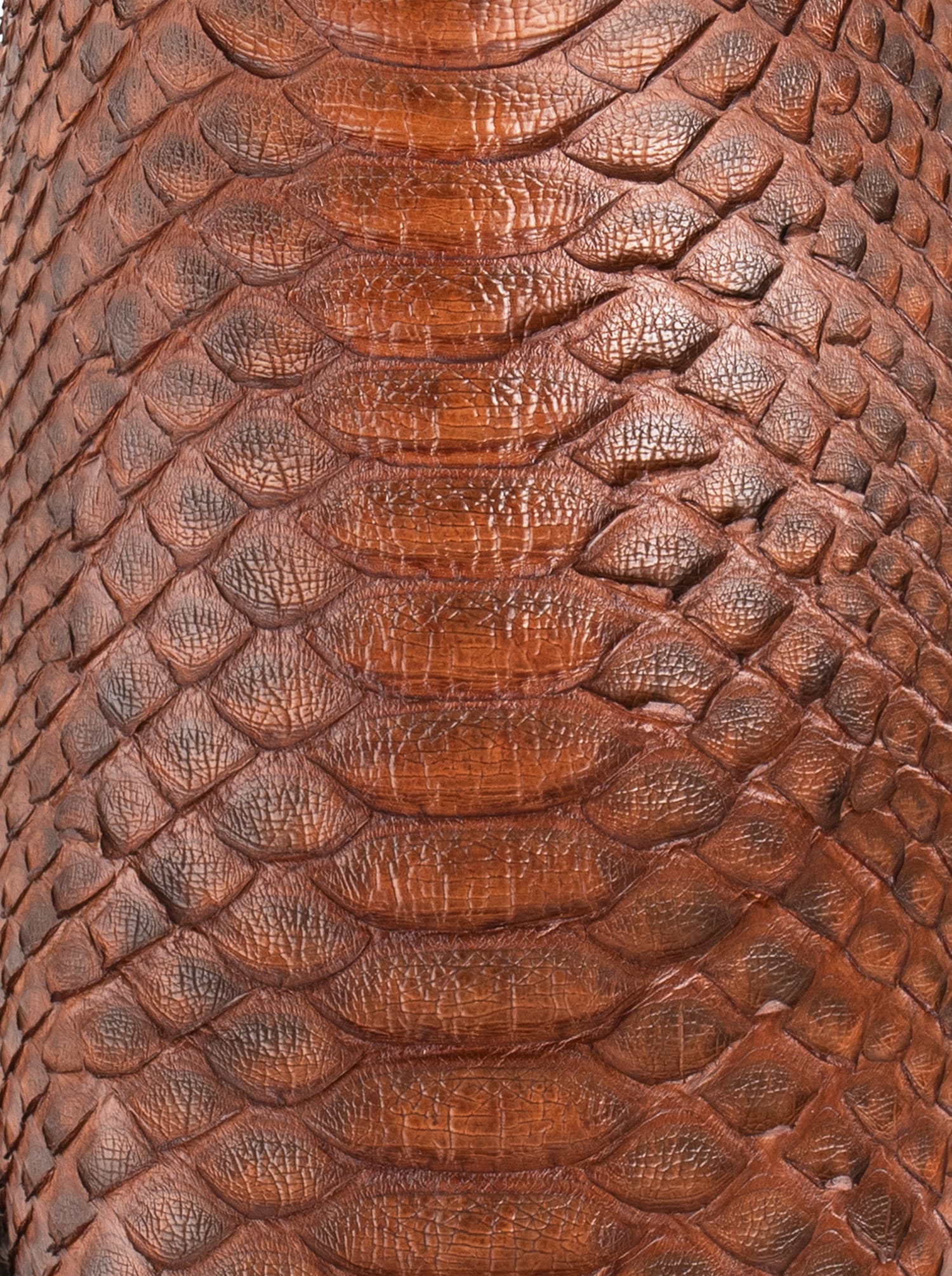 Rodeo Boot with Leather Sole in Genuine Caramel Python Leather, Style 1558