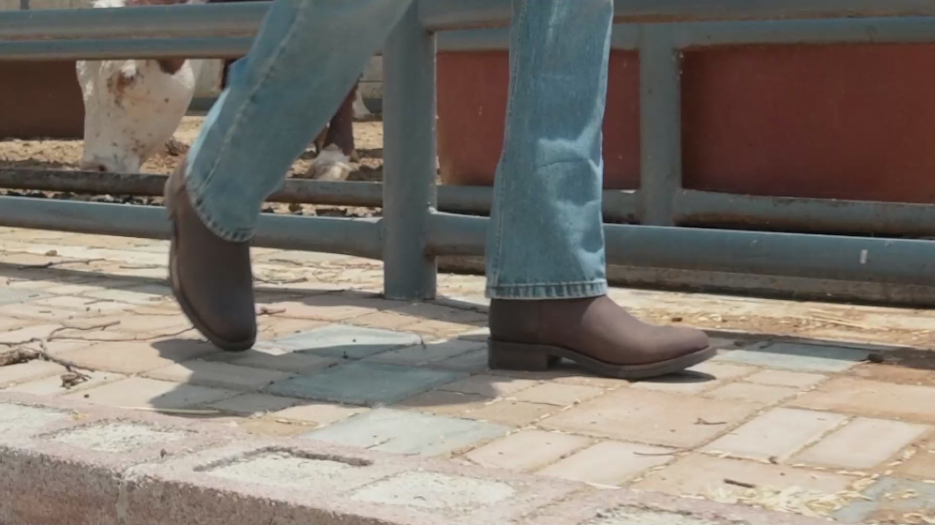 Cargar video: